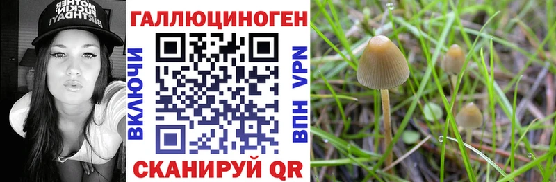 Галлюциногенные грибы GOLDEN TEACHER  дарнет шоп  Домодедово 